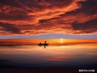 大洋诗歌：我被贫穷贩卖，驯服地走向梦想......