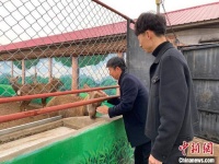 “鹿三代”张哲源的生意经：跟紧时代走向外面的世界