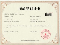 美术作品登记证书（著作权）公开发表证明