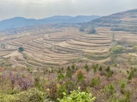 【文化扶贫在行动：陕西篇】“琴弦的乐章”陕西宜君旱作梯田吸引特色商户 着力打造乡村旅游产业升级