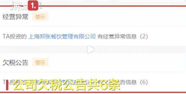 2目前该公司欠税公告共6条