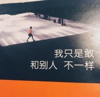 这3本书告诉你：你的生活无需标准模板