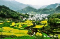 广德本地家规和移民家规的差异比对