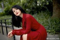 高圆圆投资鲜花公司成被执行人 执行标的超828万