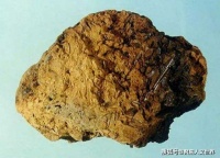 国家博物馆中为什么珍藏着一块土？学者：它是当之无愧的国宝