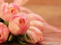 一些文艺，又很唯美的情话，值得珍藏！