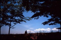 “四十不多欲，五十不多情”，少有人知！