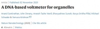 最新Nature Nanotechnology：给细胞器装个电压表