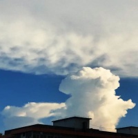 催人成长的句子│成长的路，就是认清自己的路