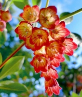 早安心语唯美精致的文案，朋友圈里熠熠发光的句子，爱了