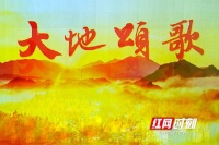 首都反响①丨高校学子：时代的缩影，艺术上有突破