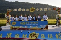 稻田里开音乐节，打造最美城央农业主题公园