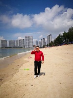 王向东书法经典视频