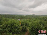 脱贫攻坚路上小故事：先锋凝聚榜样力量