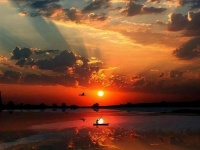 读睡诗词精读｜醉醒人家天一色，连村翠佩漾薰风