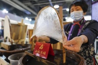 中外文化聚进博