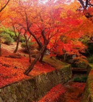 聚乙烯链条导向件@聚乙烯链条导向件人生不易每一天都不行孤负