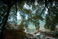 趁着地铁开动，记录着近期的思绪