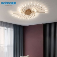 雷派照明成就家庭装饰之美