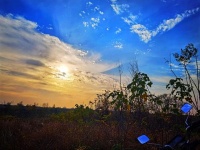 行者：秋天聆听古代诗人的吟唱｜散文选读