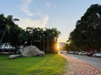 青春的样子（北大总裁班）