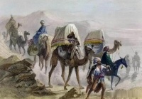 “胡人西来”：魏晋时中亚白人移民潮