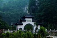 泛绿倚红，洇湿了梦幻