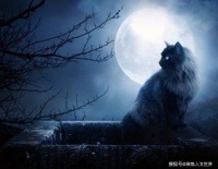 科学家：死亡本身并不存在，是人类自己发明了死亡