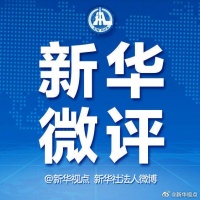 新华微评：进博会成绩单令人振奋