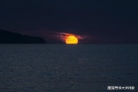 大洋诗歌：如果天空是一张纸，我真想画上一匹不眷草原的小斑马