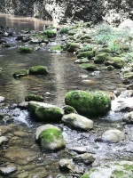 遣兴何须纸砚承，恬淡此间情