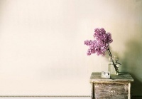 车载音乐合集 车载音乐打包下载 车载音乐下载