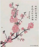 国画教程：桃花的画法