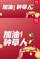 双十一种草人：看荣耀如何与年轻人玩在一起