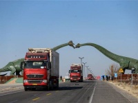 首批已加工蒙古国捐赠羊开始运往湖北