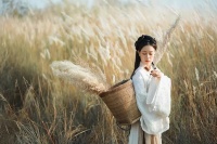 诗词精读｜试问江山何处好，一片芦花白了