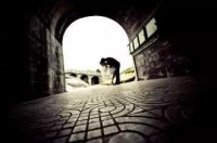 太容易拖延，所以你一事无成