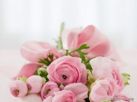 这么唯美的文艺句子，你知道的谁写的吗，收好！