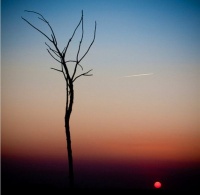 几句掏心的话，送给辛苦的自己