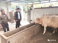 邓州市裴营乡郑坤来「脱贫故事汇」一条腿撑起一个家