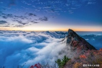 大洋诗歌：如果时光可以重来，我是否还会勇敢地爱？