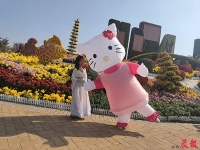 数百人穿汉服游园成菊展新亮点