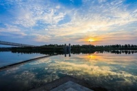 结识《河南思客》一年间｜高自双【荐读】