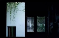 花开几许，人情可温