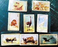 风靡一时的烟画收藏