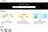中国农科院：全球首个作物黄萎病菌资源和基因组数据库上线