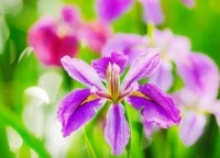 朝气满满的励志句子，发朋友圈传递正能量