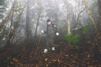 只闻猿声 难见猿身