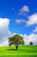 精辟睿智的精致哲理文案，句句经典，发人深省