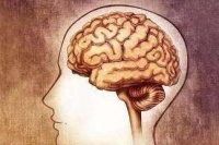 右脑和左脑哪个更重要？假如人只有半个脑子，生活会变成什么样